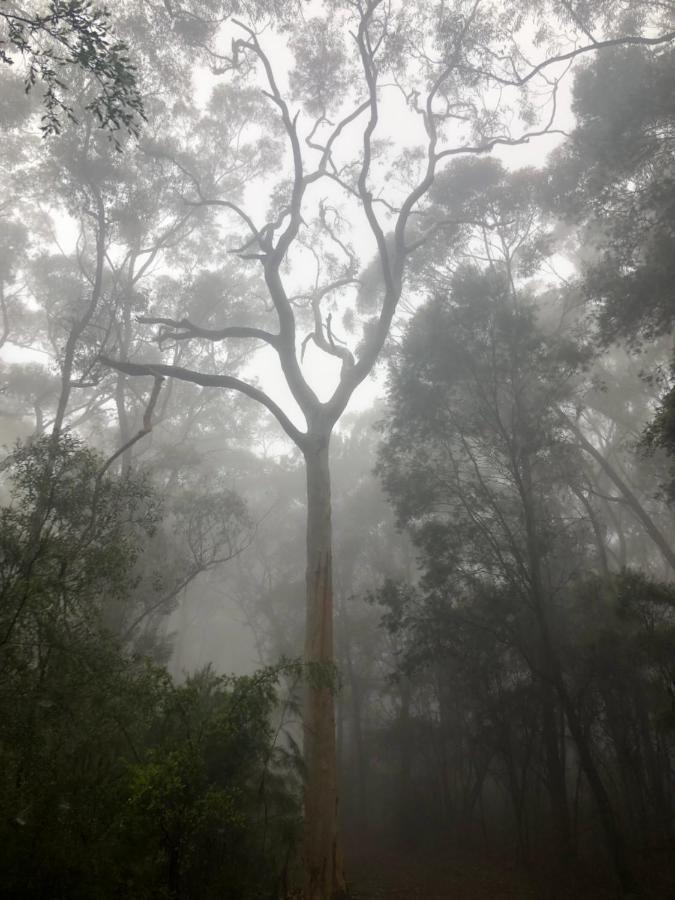 Twin Falls Bush Guest house