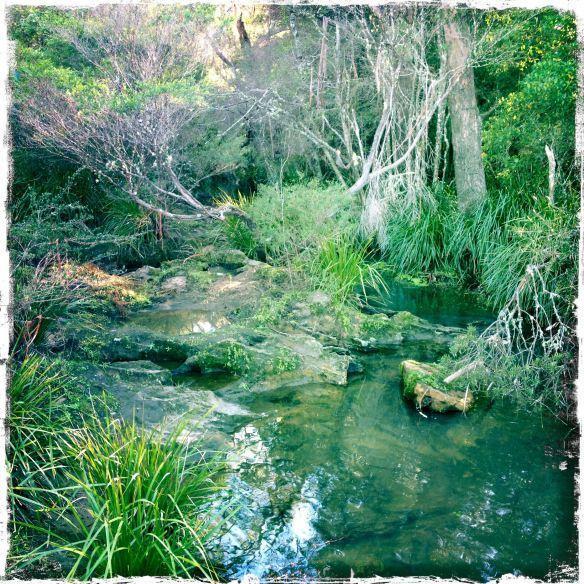 Twin Falls Bush