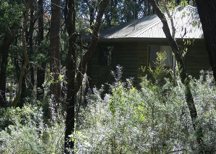 Twin Falls Bush Cottages