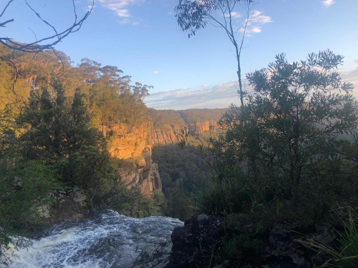 Twin Falls Bush