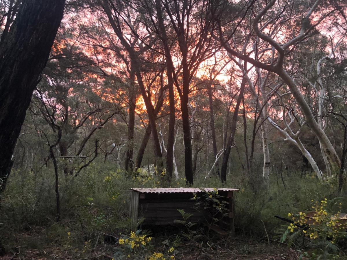 Guest house Twin Falls Bush 3*