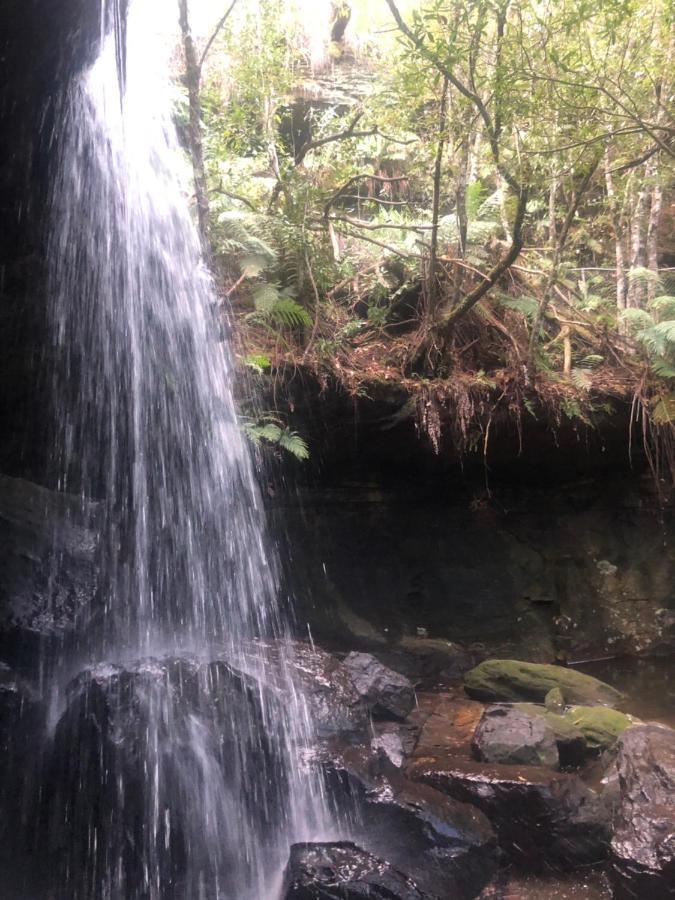 Guest house Twin Falls Bush 3*