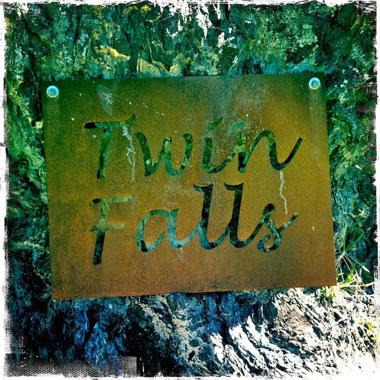 Twin Falls Bush Fitzroy Falls