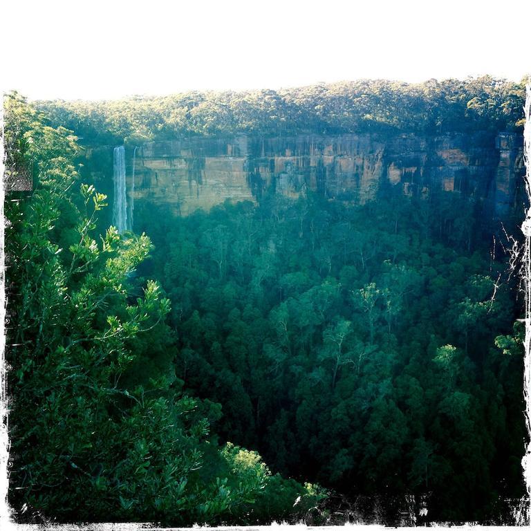 Twin Falls Bush