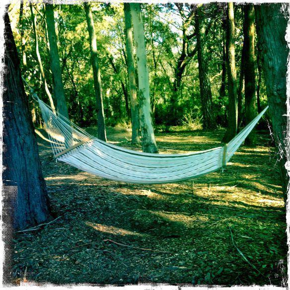 Guest house Twin Falls Bush 3*