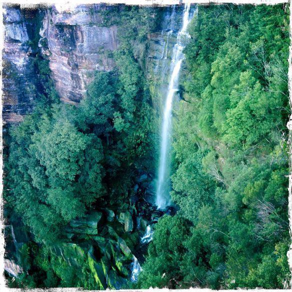 Twin Falls Bush