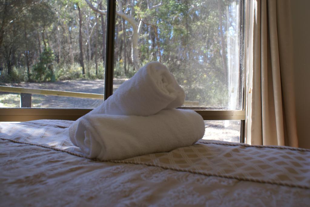 Twin Falls Bush 3* Fitzroy Falls