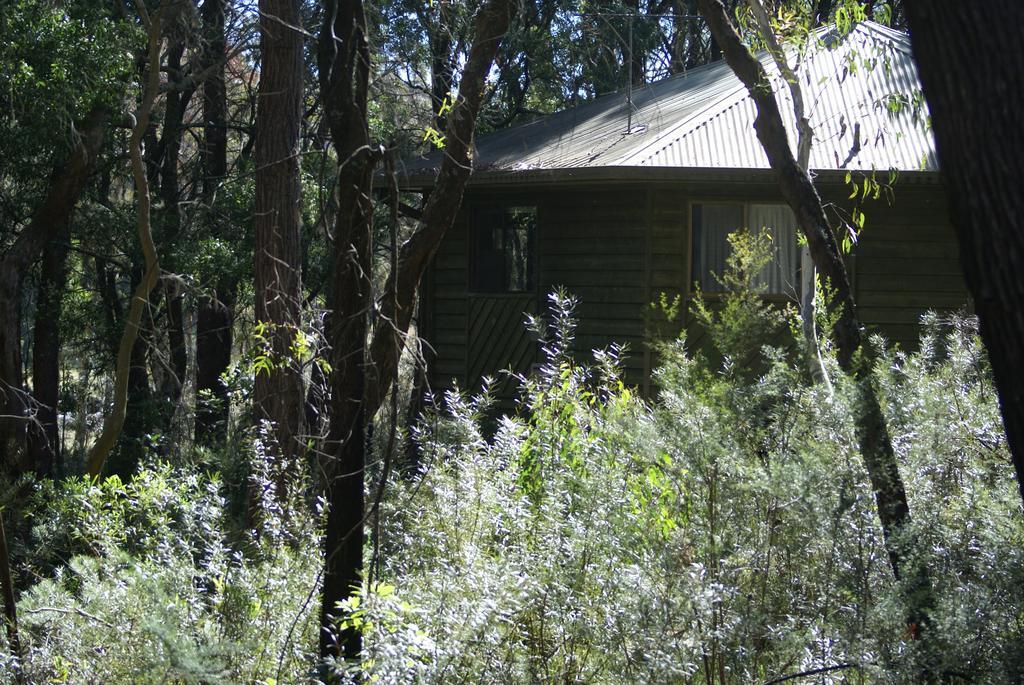 Twin Falls Bush Guest house