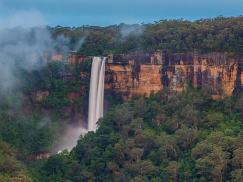 Twin Falls Bush
